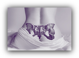 yoypsacredsacrumpurple260ds